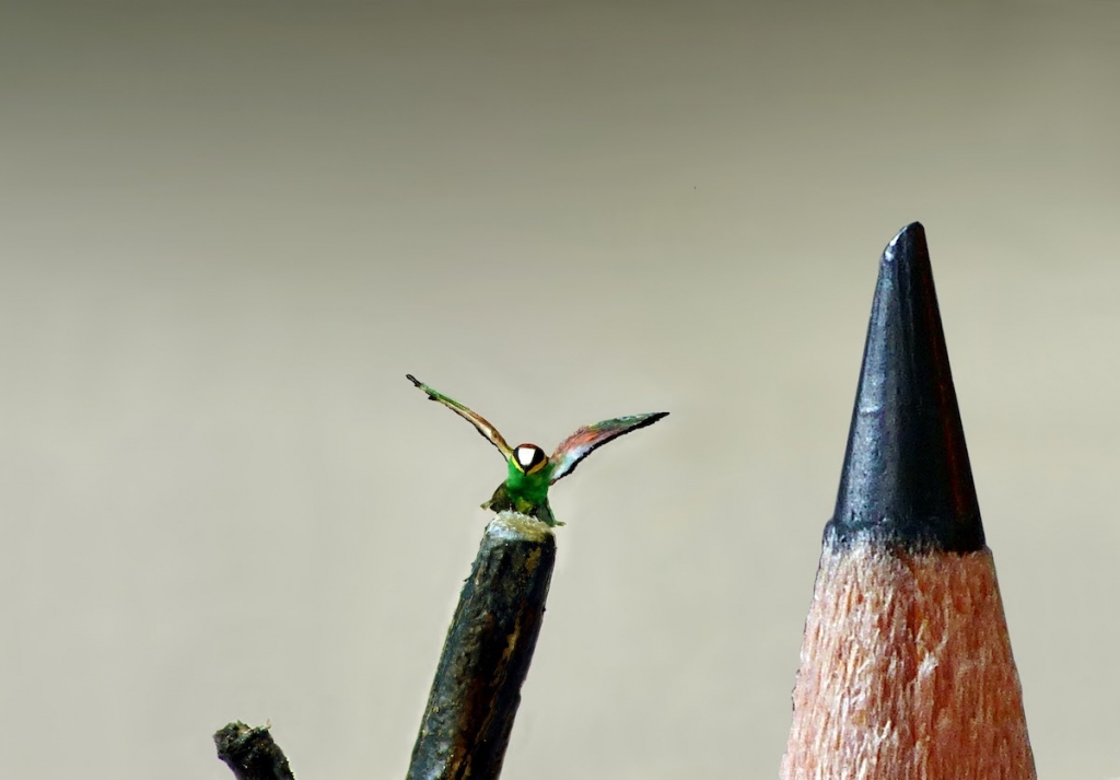 Micro Bird Art Sculptures Are Smaller Than A Pinhead