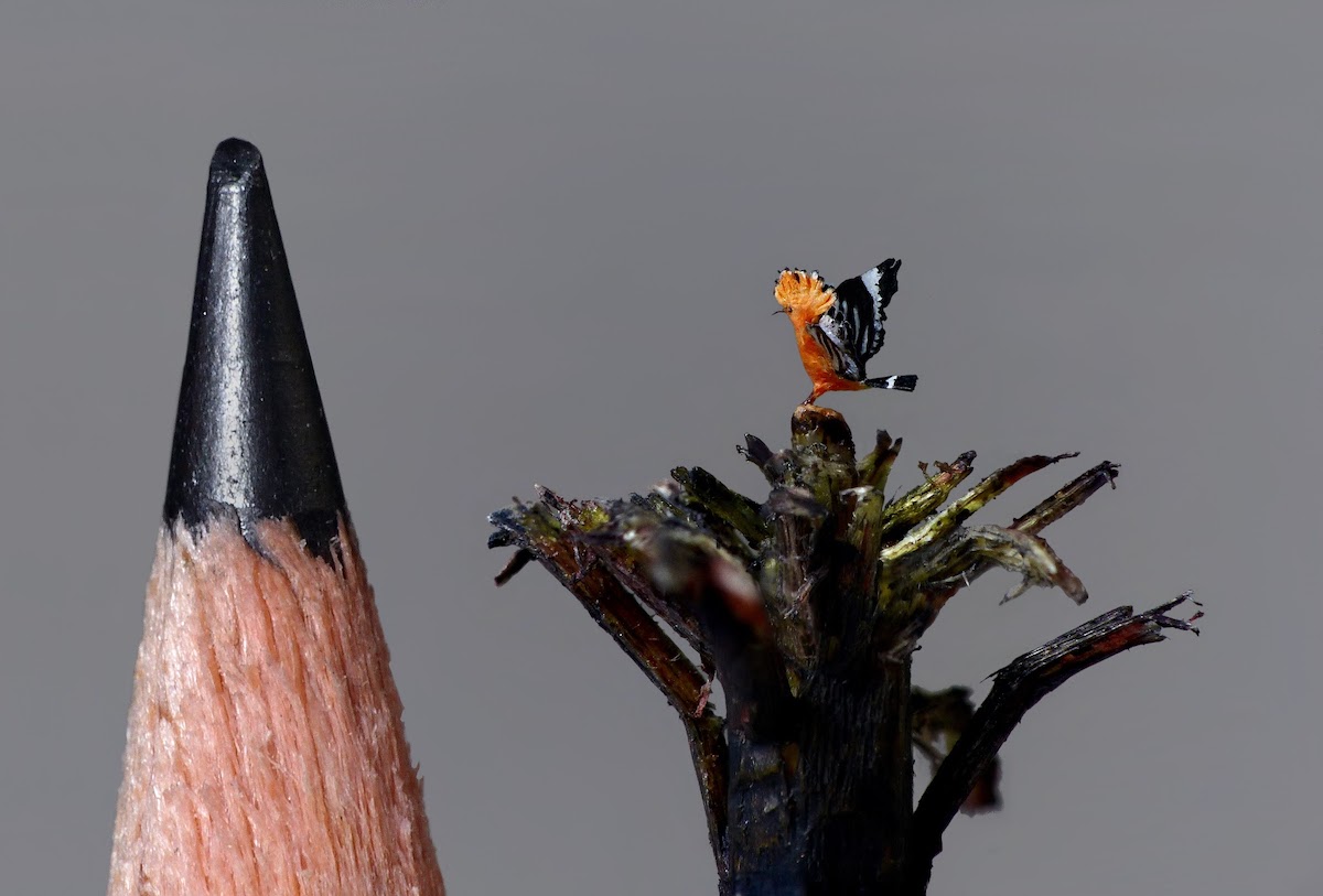 Small Bird Carvings by Marie Cohydon