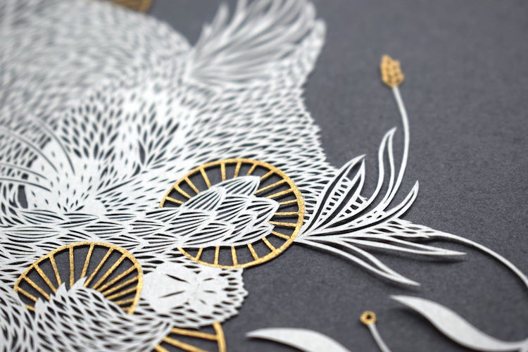 Paper Cut-Outs by Pippa Dyrlaga