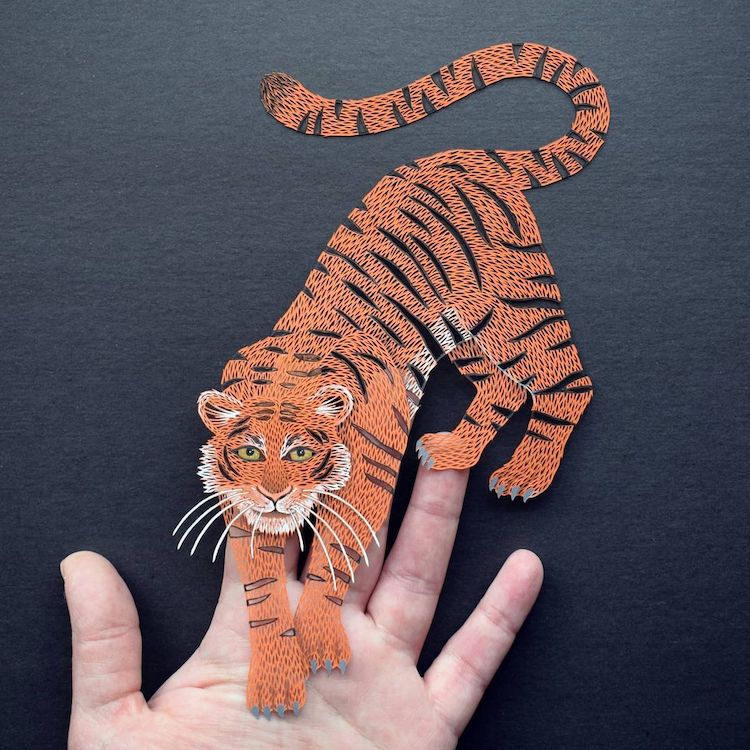 Paper Cut-Outs by Pippa Dyrlaga