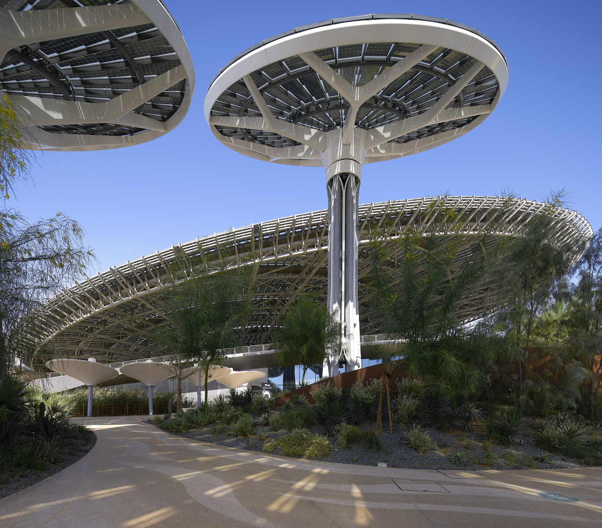 Energy Trees at Terra Sustainability Pavilion by Grimshaw at Dubai Expo 2020