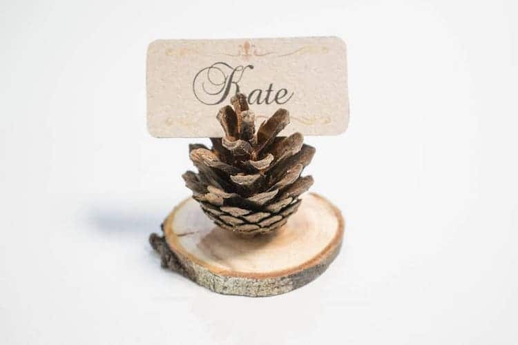 Pinecone Name Placeholder