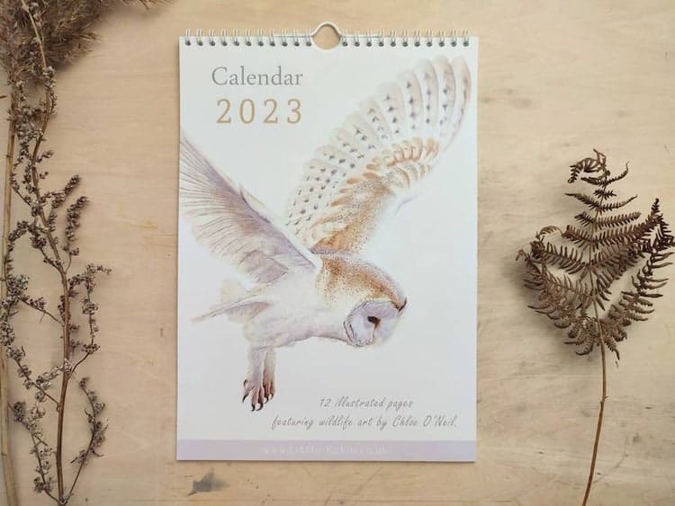 British Wildlife 2023 Calendar