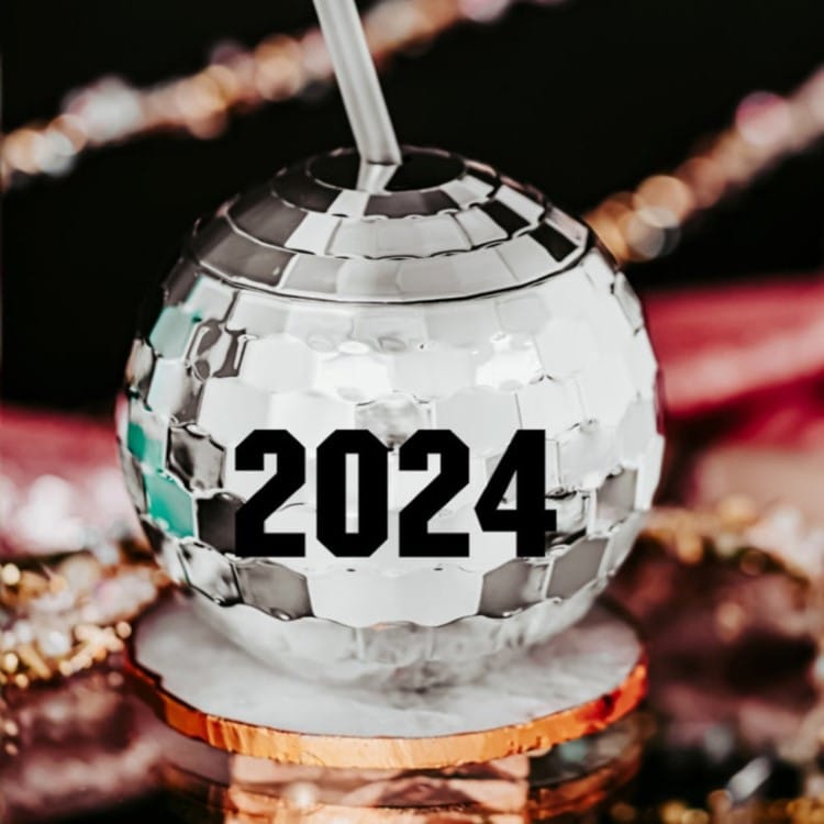 2024 Disco Ball Cup