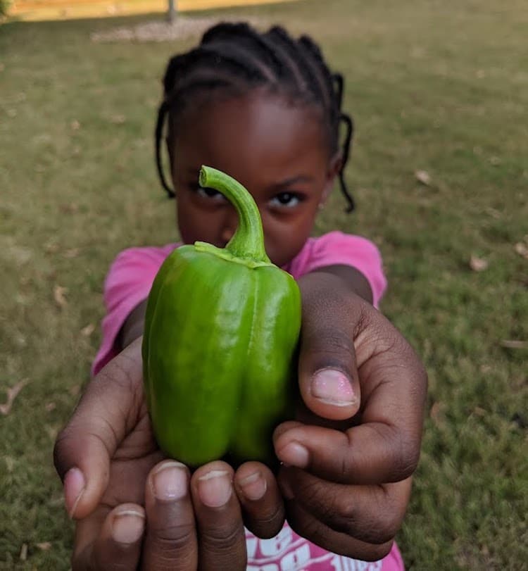 6-Year-Old Kendall Rae Johnson Is Georgia's Youngest Certified Farmer