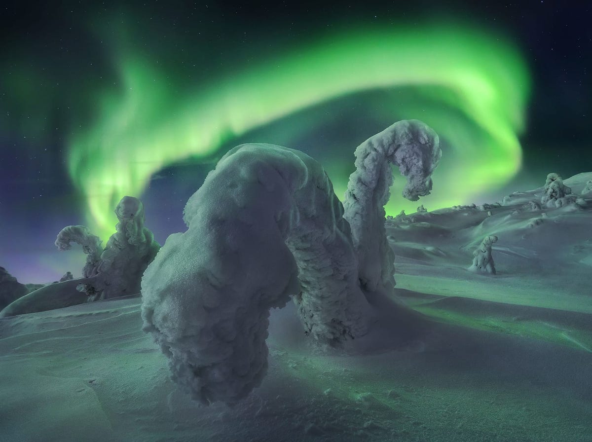 Aurora boreal en un bosque nevado en Rusia