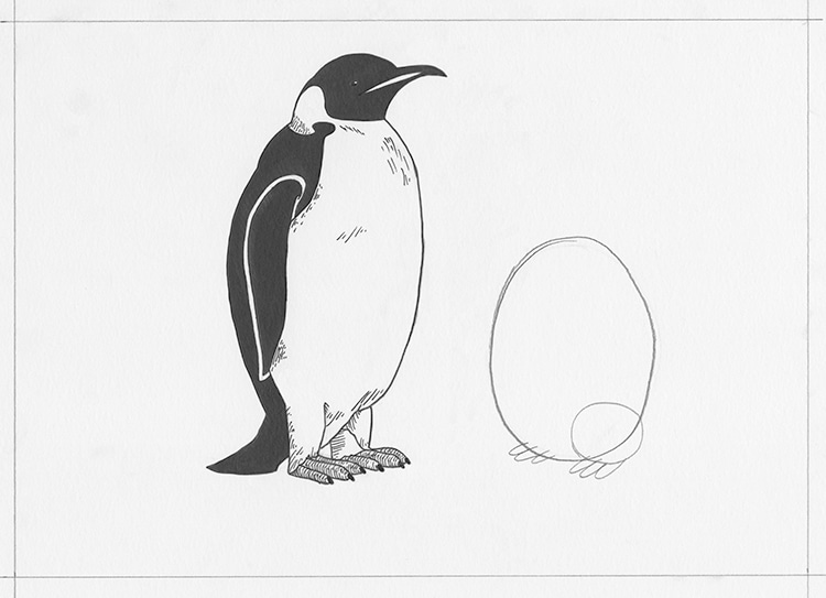 Aprende a dibujar un pingüino emperador con su polluelo paso a paso