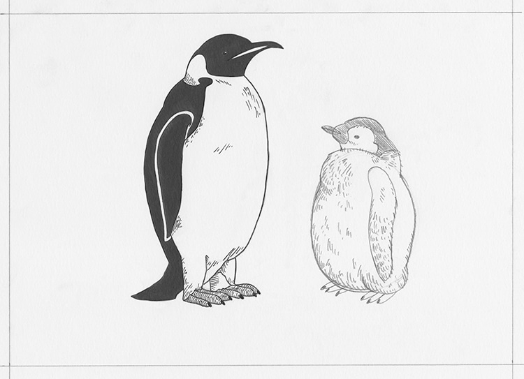 penguin family drawing