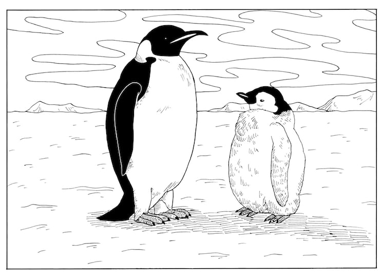 How to Draw a Penguin Step by Step