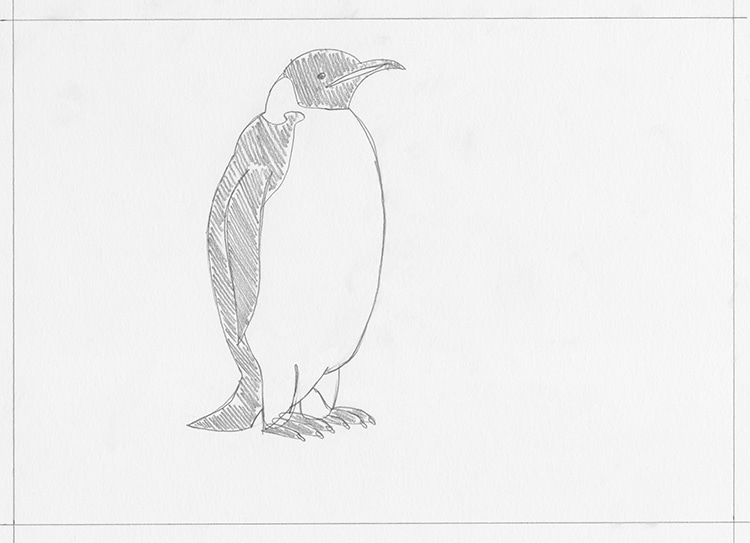 Hand-drawn Snowy Baby Penguin | 8