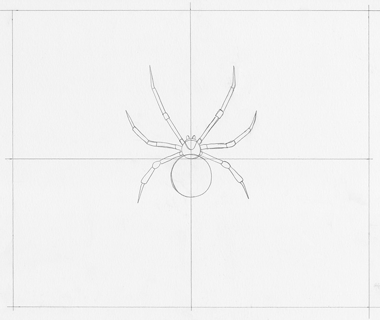 How to Draw a Spider on a Spiderweb