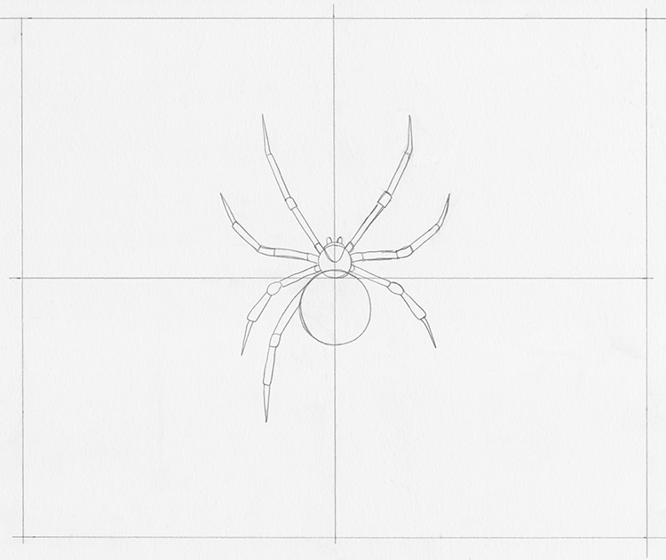 How To Draw a Simple Spider Web 