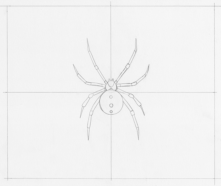 3D Pencil Sketch Of Spider By Bharat Rathore  DesiPainterscom