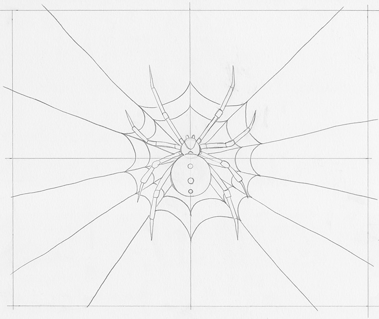 How to Draw a Spider on a Spiderweb