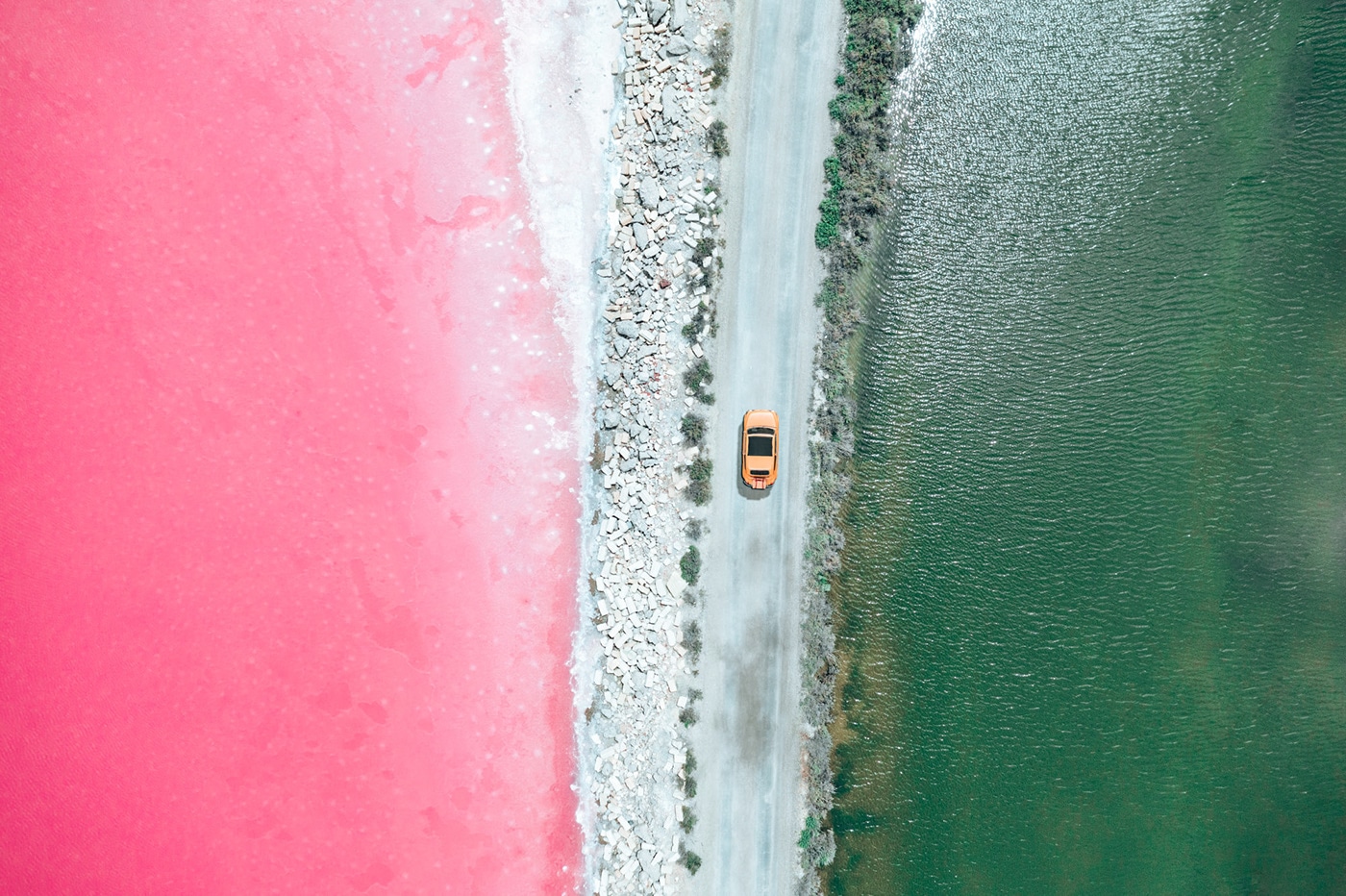 Photo d'algues roses par Paolo Pettigiani