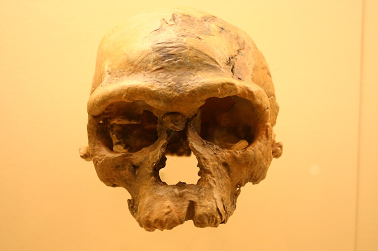 Jebel Irhoud Homo Sapien Skull Morocco