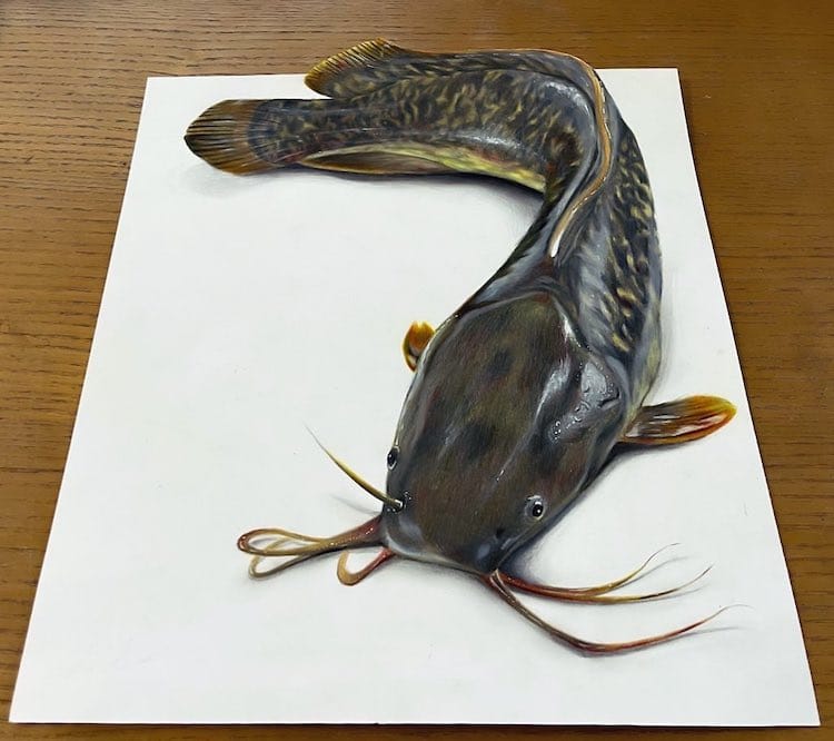Este dibujo de un pez gato es tan realista que parece salirse de la página