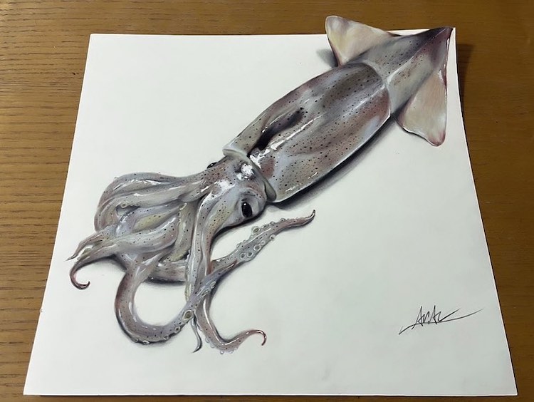 Realistic Drawing of a Squid by Aria