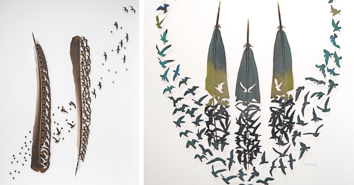 Artist Creates Incredible Bird Inspired Works From Real Feathers   Bird Feather Art Chris Maynard Thumbnail 