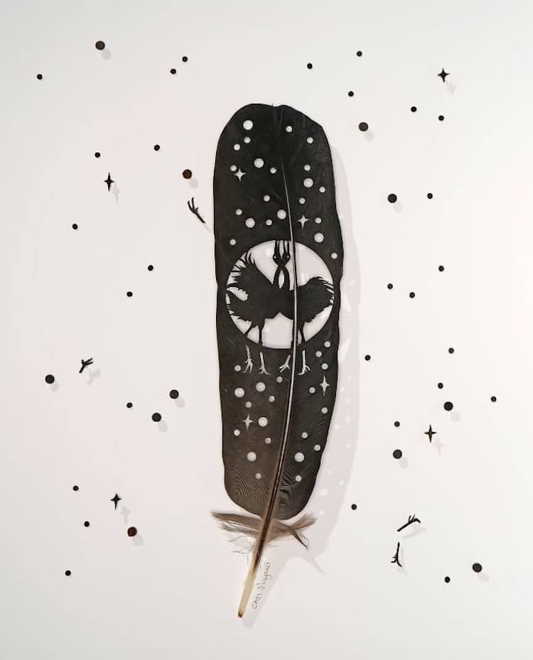 Feather Cut Out Art by Chris Maynard