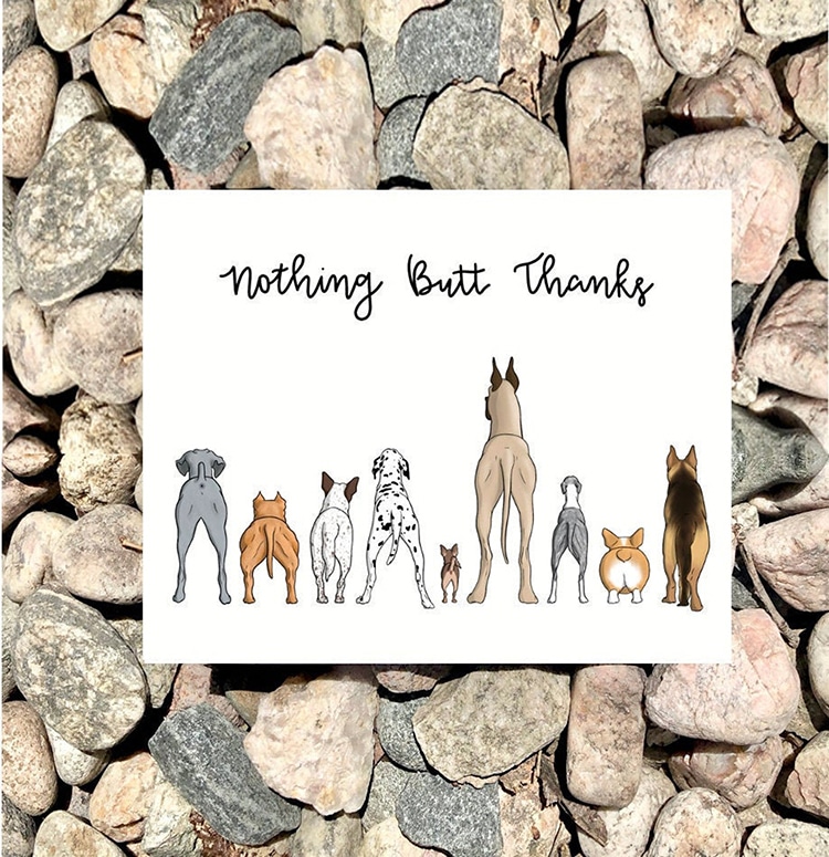 Dog Butts Funny Thank You Note