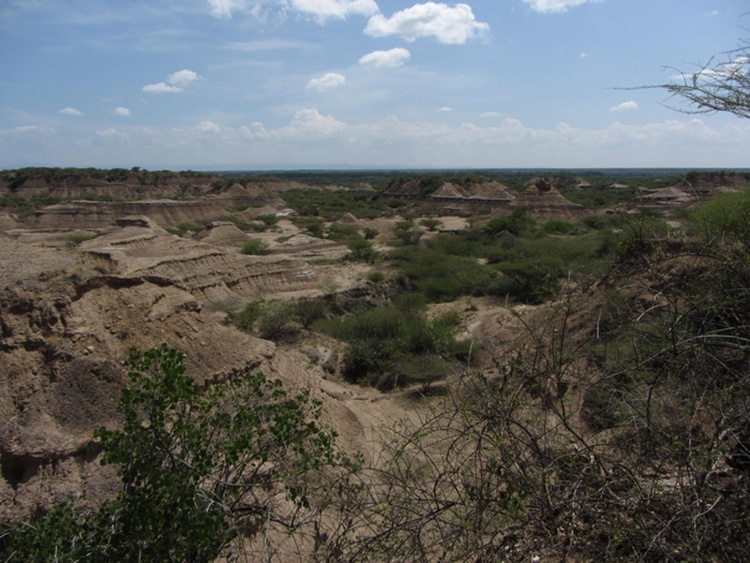 Homo Sapiens in the East Africa Rift Valley