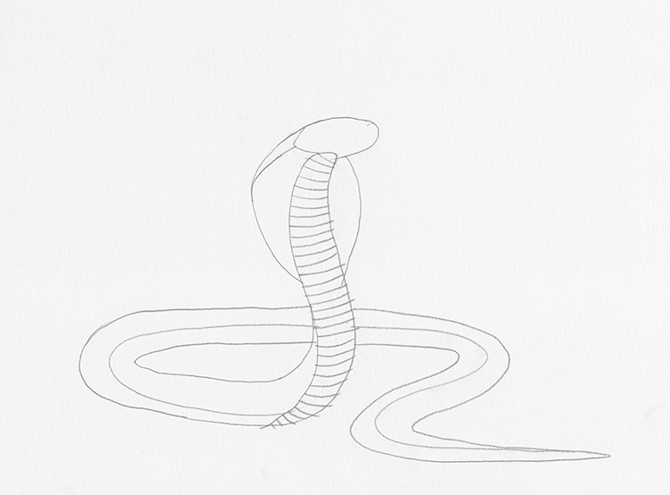 Haz un dibujo de una serpiente cobra con este tutorial paso a paso
