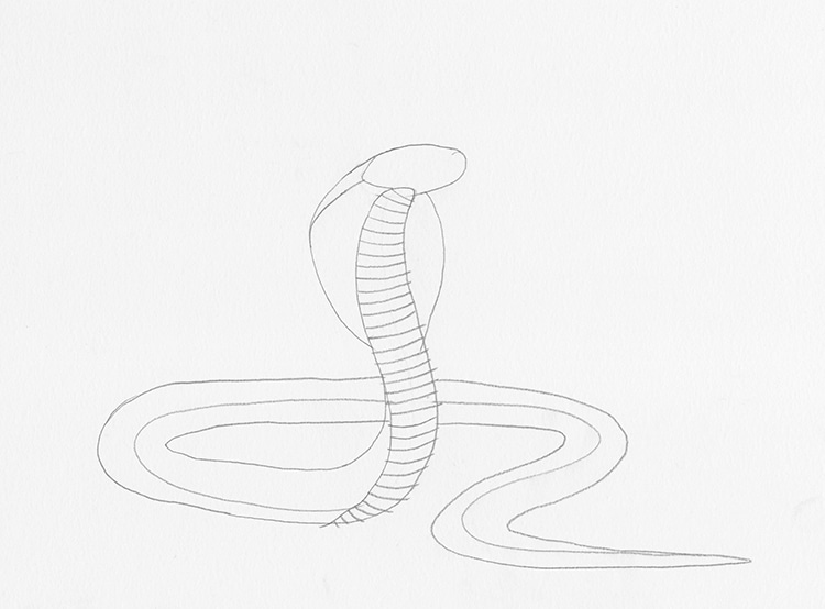 Snake Cobra Digital Snake lion digital illustration minimalist drawing  realistic creativity Stock Illustration | Adobe Stock