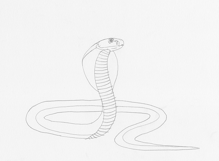 Haz un dibujo de una serpiente cobra con este tutorial paso a paso