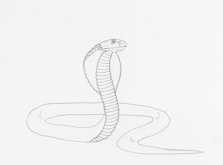 Realistic Cobra Coloring Page - ColoringAll