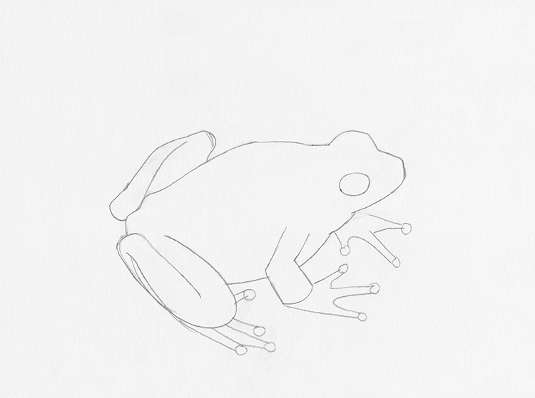 how to draw a simple frog