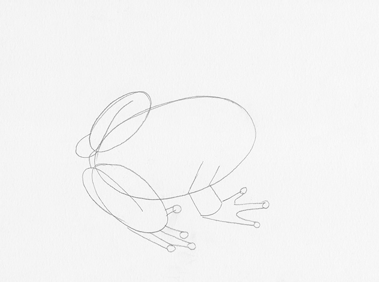 How to Draw a Frog