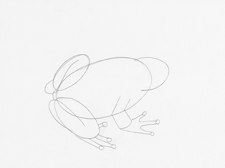 How to Draw a Frog