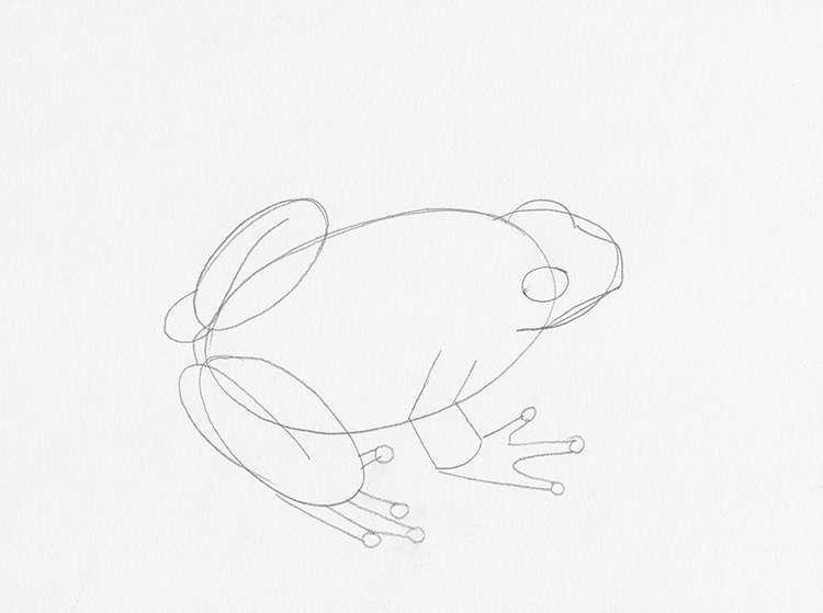 How To Draw a Frog: 10 Easy Drawing Projects