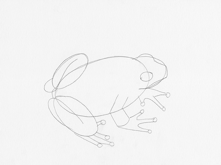 Frog Drawing easy  HelloArtsy