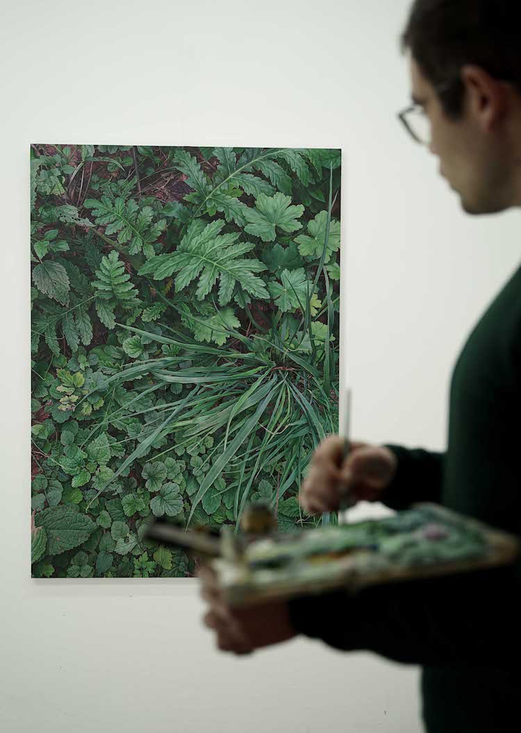 Botanical Paintings by Jelena and Aleksandar Paunkovic