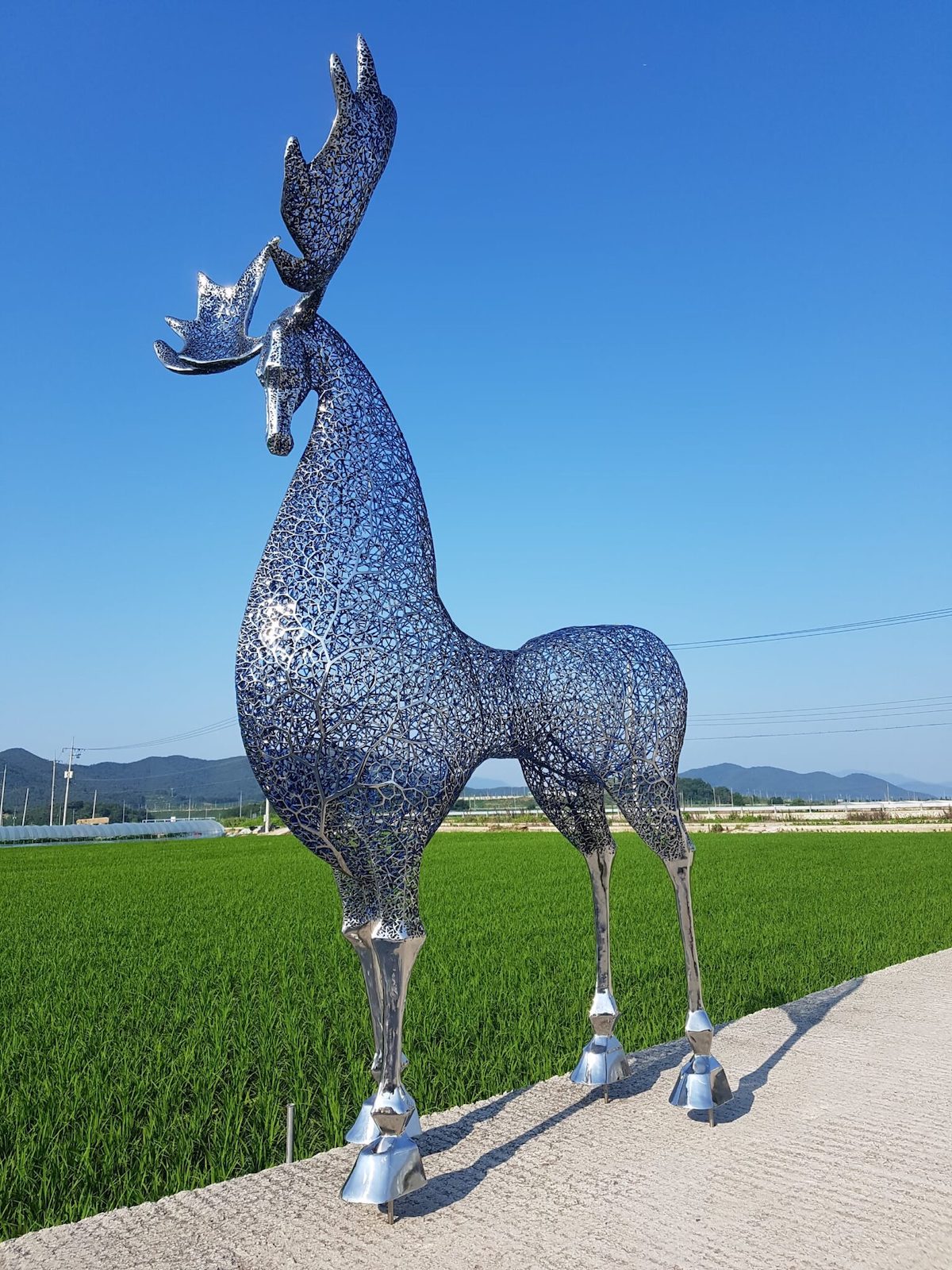 Esculturas de animales de acero inoxidable de Kang Dong Hyun