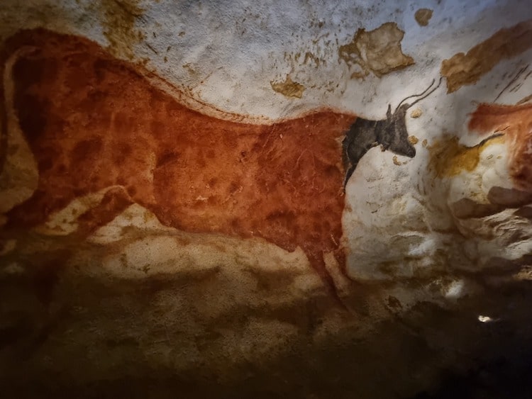 Painting of a Bull at Lascaux