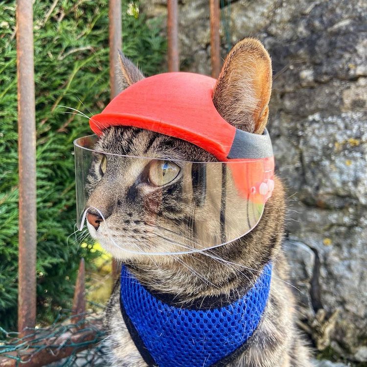 Guy Makes 3D-Printed Helmets for His Cat