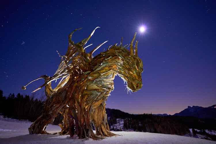 Dragon Made of Wood from Storm by Marco Martalar