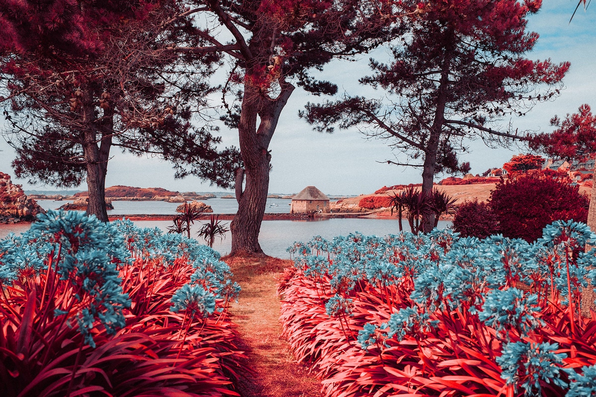 Brittany, France in Infrared