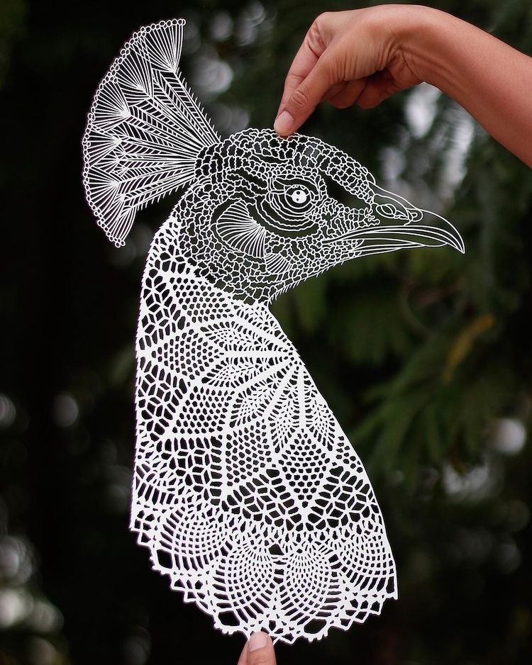 Paper Cut Outs by Parth Kothekar