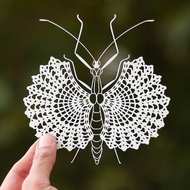 Amazing Paper Art Mimics the Delicate Effect of Lace