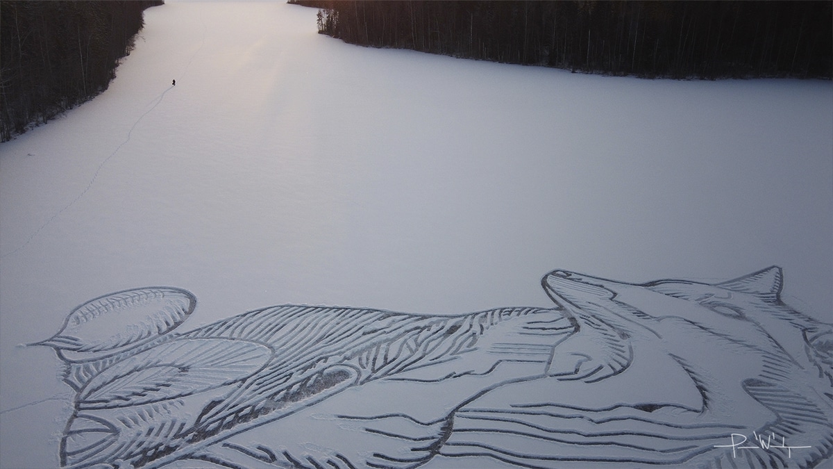 Fox Snow Art by Pasi Widgren