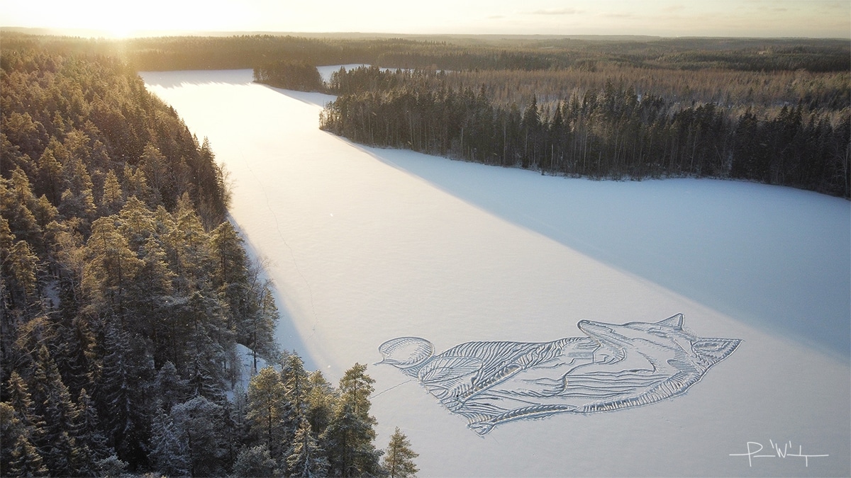 Fox Drawn in the Snow by Pasi Widgren