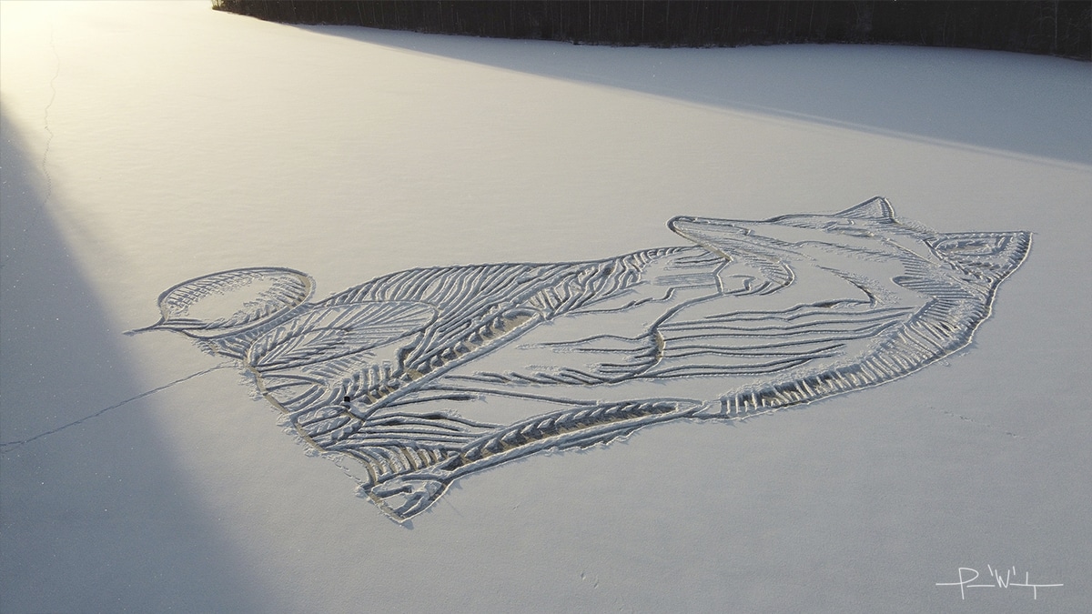 Fox Drawn in the Snow by Pasi Widgren