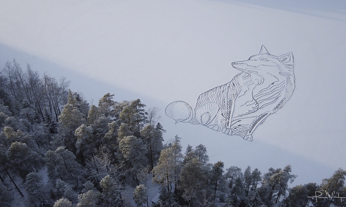 Fox Snow Art by Pasi Widgren