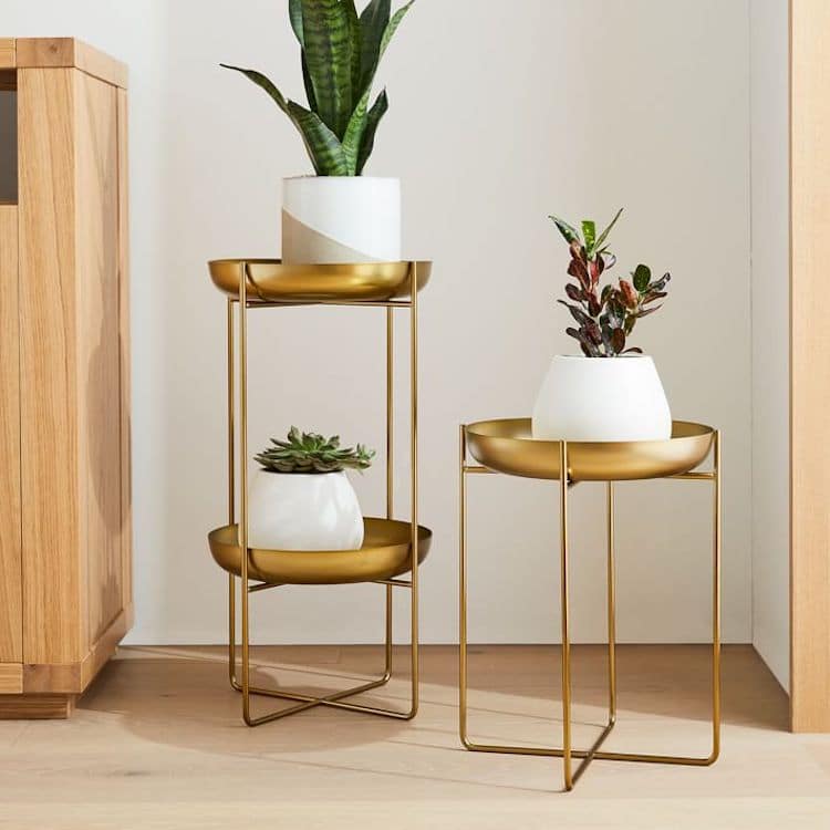 Indoor Plant Stand