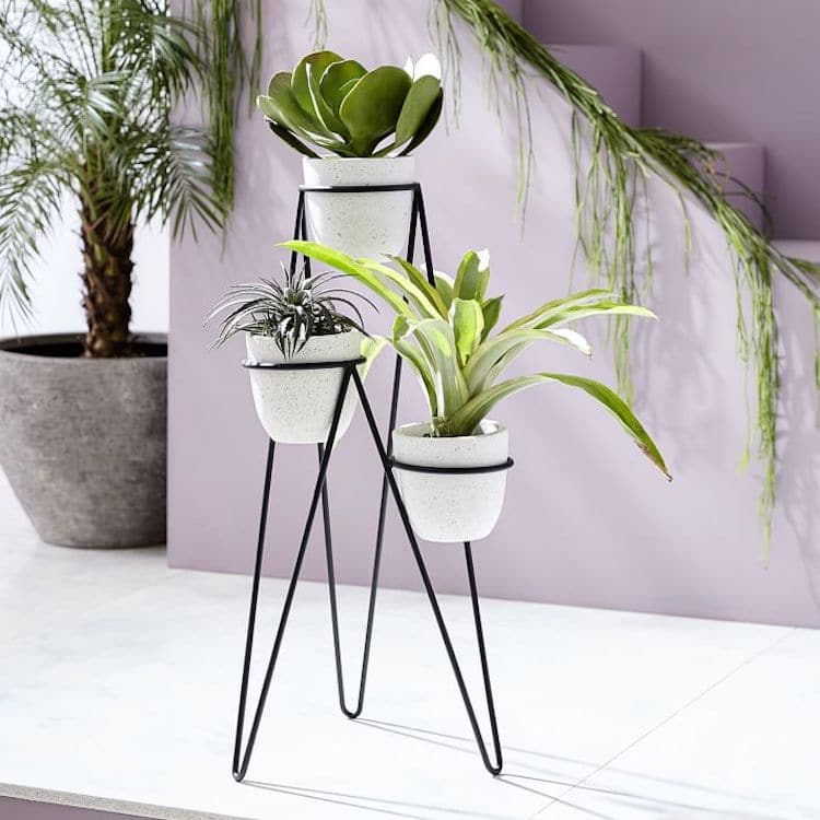 20 Stylish Stands That Will Look Great With Your Potted Plants