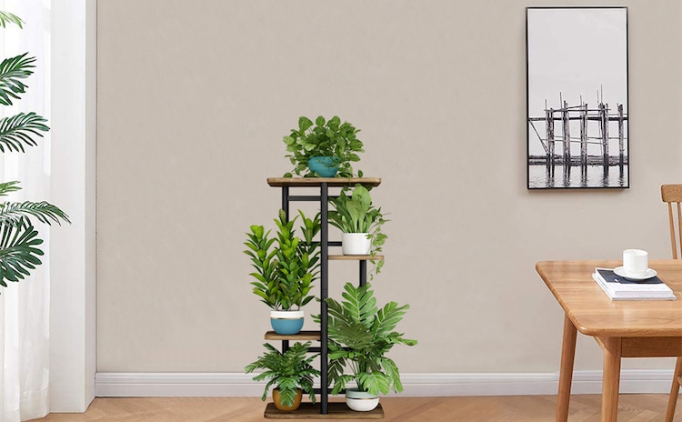 Indoor Plant Stand